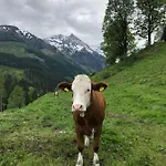 Zauneralm Aich (Styria)