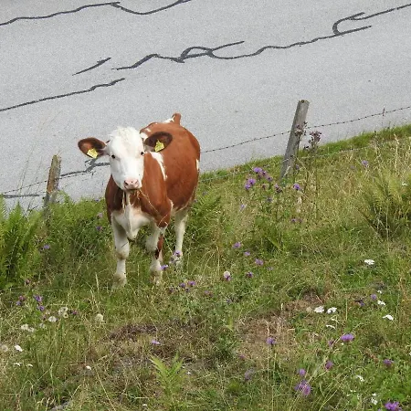 Agroturismo Zauneralm
