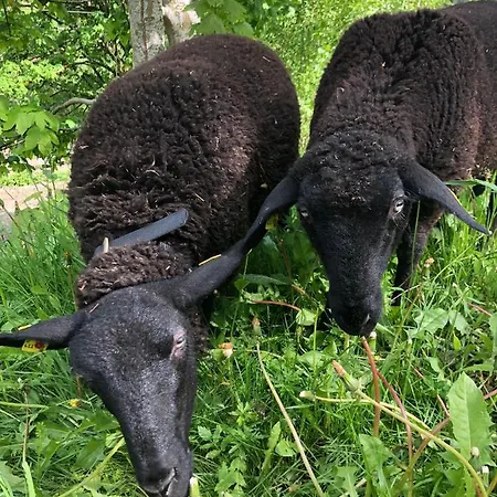Zauneralm Agroturismo Aich (Styria)